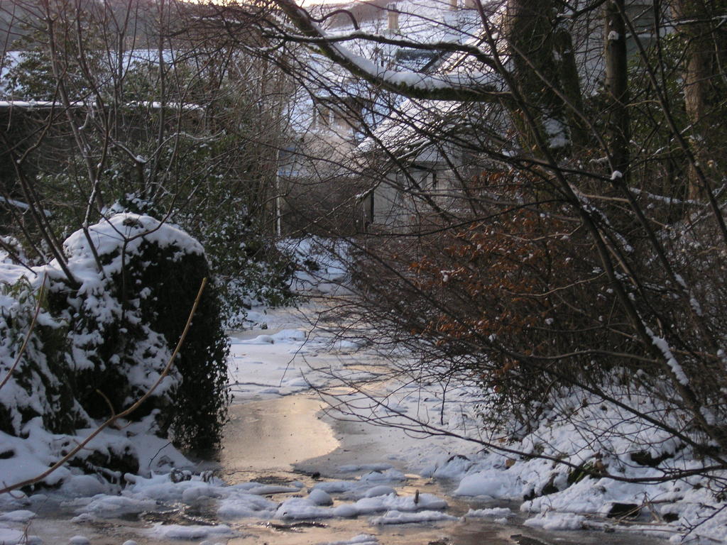 惠斯勒戴尔住宿加早餐旅馆 鲁阿 外观 照片
