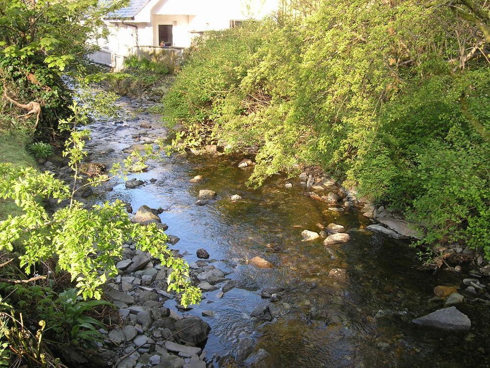 惠斯勒戴尔住宿加早餐旅馆 鲁阿 外观 照片